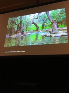 Trees planted by rivers of water